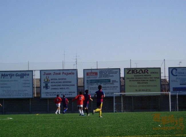 小叶貌似在跳舞,舞步优美!!!